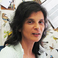 Maria Godinho