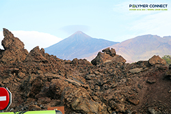 Polymer Connect 2025